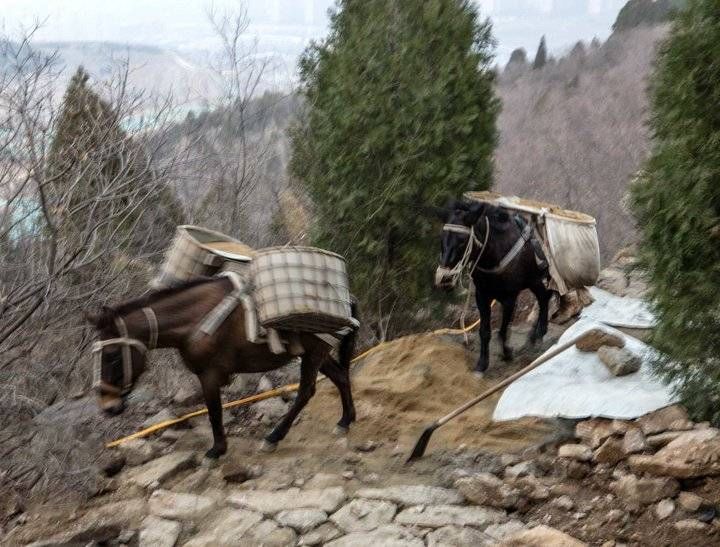 钟福生|山间铃响马帮来，偶遇骡马运沙忙