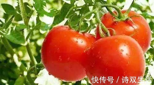 胆固醇|105岁老人坚持吃“5种食物”，血管年龄才50岁，身强体壮没病找
