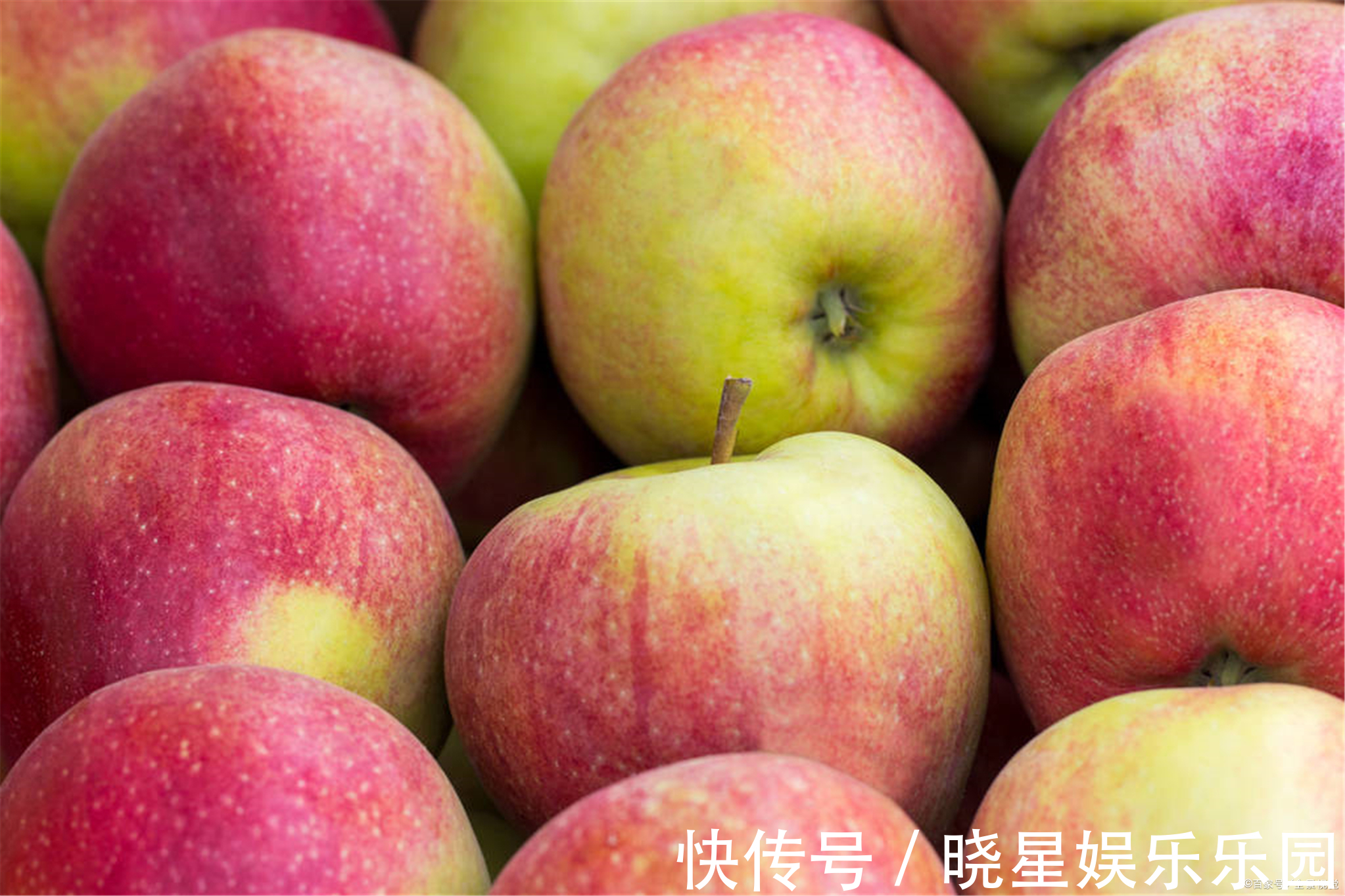 牛津大学|早晨和晚上,哪个时间吃苹果更好?营养师直言:这两个时间或更好