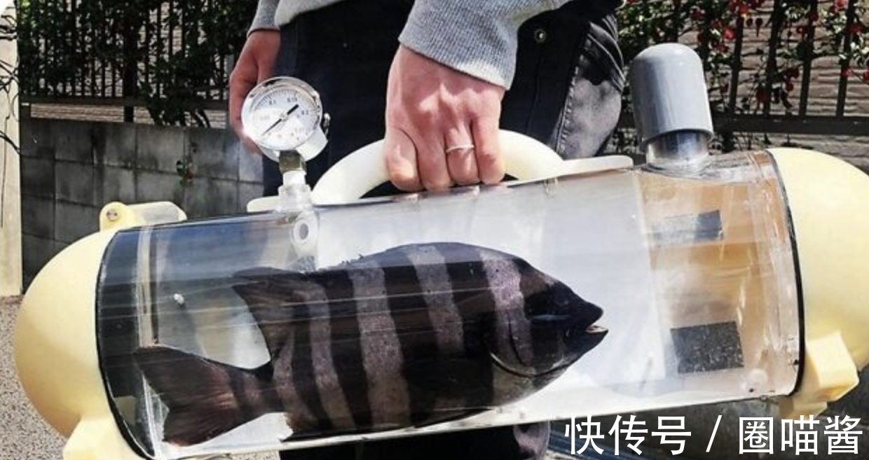 迈克尔杰克逊@“活久未见”的28张照片,相当涨姿势