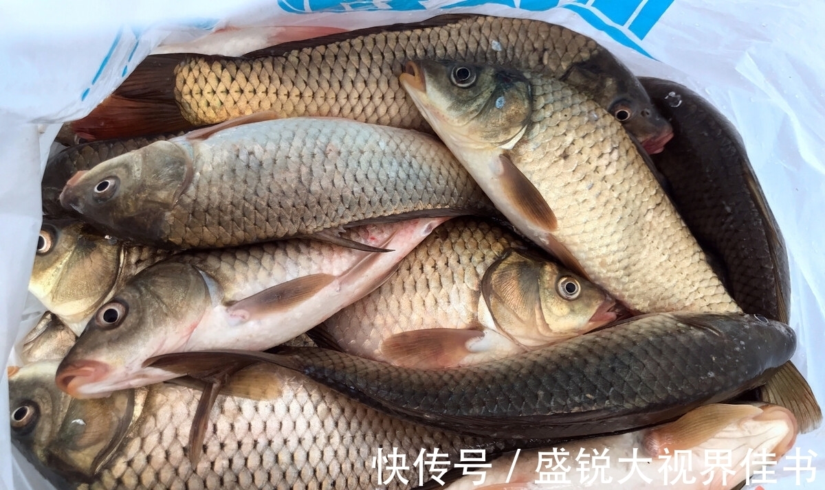 斤塘|钓鱼大师钓鱼很厉害，可是我越学越是钓不到，这是什么原因？