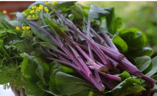 细嫩|好食物吃出好身体，女性不妨常吃3种食物，排毒清脂，细嫩肌肤