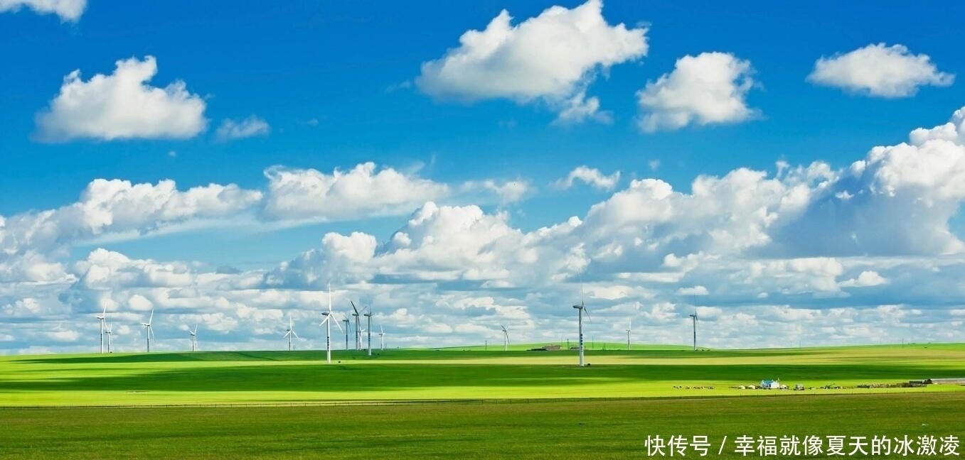 为什么草原上只有草,却看不见树这么多年,可算明白了