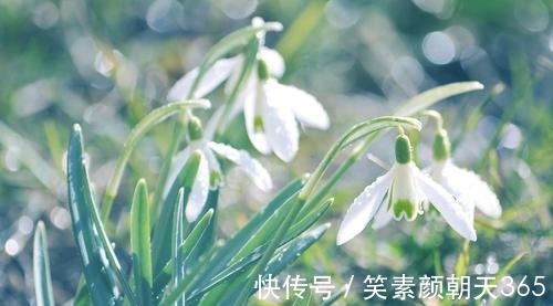 射手座|未来一个月,与旧爱复合成功,前任主动找你和好如初的四个星座