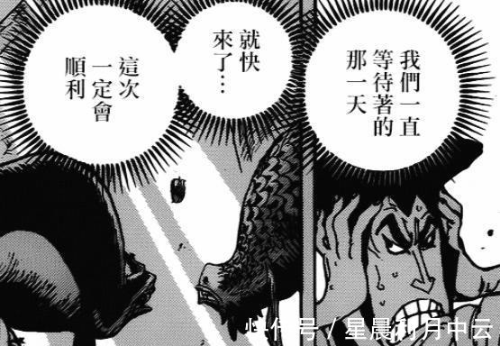 霸王色霸气|海贼王里的4个稀有设定,幻兽种仅5颗,果实觉醒仅2人成功