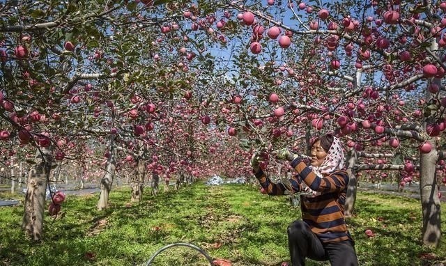 小蛮腰!8首绝句,一段闲情杯酒愁浇阳关路,葱指琵琶小蛮腰