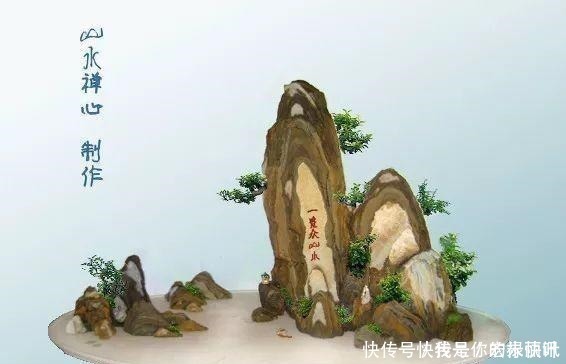植株|大爷用石头、盘子来养花,布局造景,这就是山水盆景的魅力!