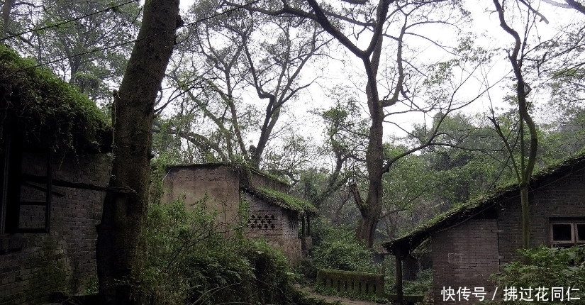 神往|这两个自然风景很美的地方，让不少神往，特别值得打卡前行