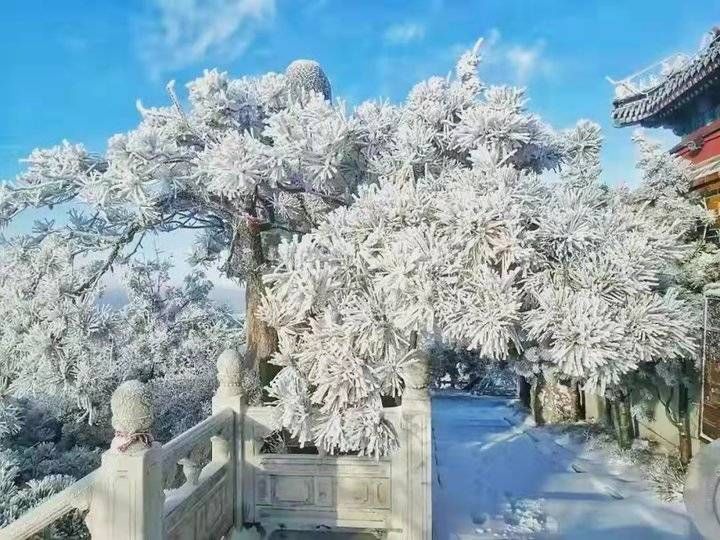 海岳|美翻了！冬日沂山，雪景如画