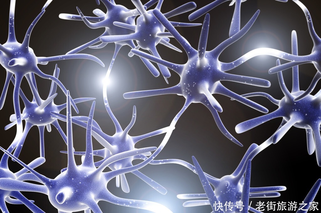 海马区|它被称为“脑黄金”,多给孩子吃,提高记忆力,学习成绩好