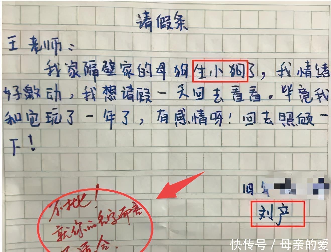 学生请假|小学生请假“看母狗生小狗”,不料因名字被拒,网友:绕狗一命吧