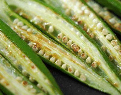 秋葵|简单快手，健康又爽口——香煎秋葵「孔老师教做菜」