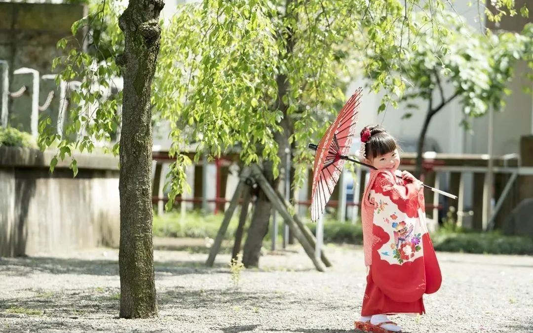 金合欢|日本一主妇,晒100多㎡房子治愈无数人没有客厅和电视,却是家居界的教科书