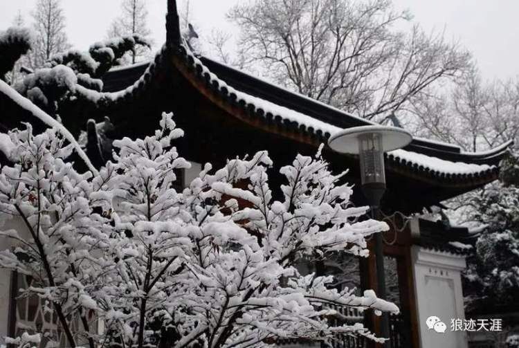 腊月十九 · 吃三冬|农历中国 | 三冬