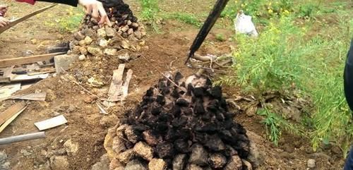 叫花鸡、土窑鸡、富贵鸡、荷叶鸡、泥焗鸡做法解析，看完包会