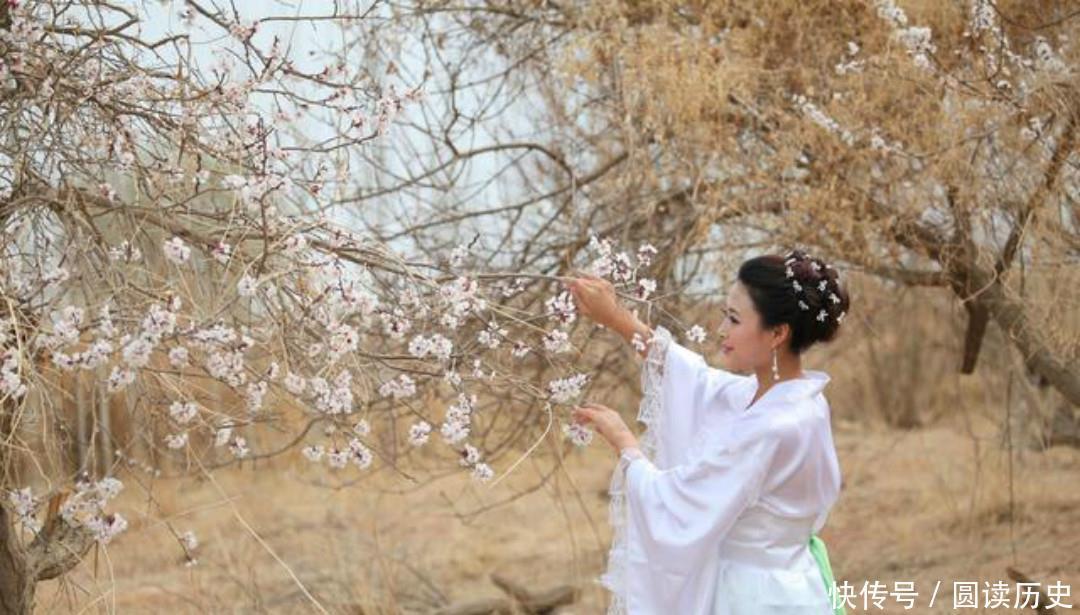 李商隐的诗常常引用典故,只有这首《落花》,全诗纯用白描的手法