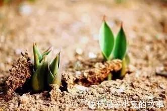 木克土!这样讲五行相生相克的道理, 别告诉我你还不懂!