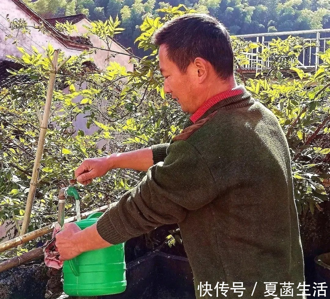 兰友|兰花用什么水浇最好？这种水，比天然的雨水更妙