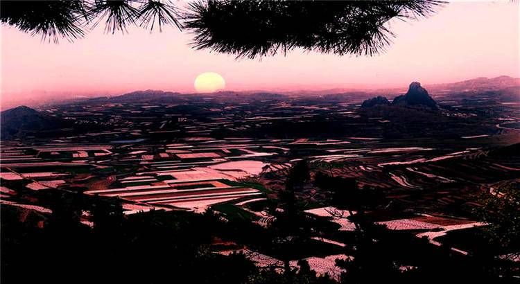 当代散文#当代散文｜|胶州的冬天