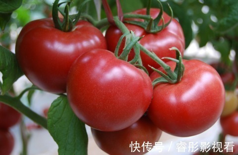 尿道结石|高血压吃什么食物能降血压?这四种食物你需知道!