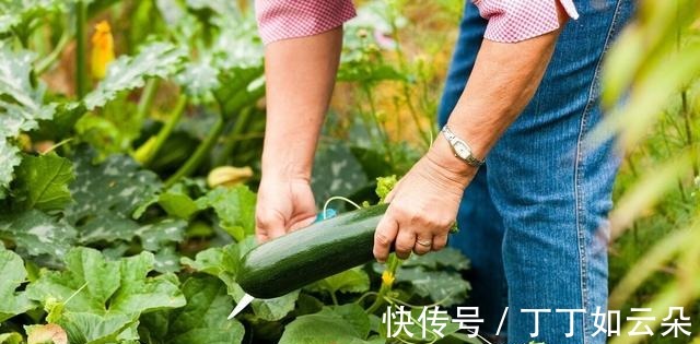 西蓝花|炒菜前记得要焯水的3种蔬菜，别嫌焯水麻烦，弄不好有害于健康！