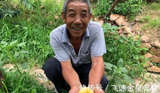 国家地理|黄桃中的“金皇后”，脆甜多汁，个大饱满，咬一口全是蜜~！