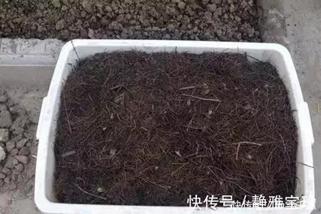 一招教你把旧土变新土，再也不用花钱买营养土种花了