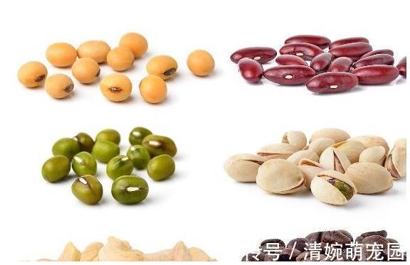 坚果酱|糖尿病人吃零食可以控制血糖?下面4种零食吃完血糖稳稳的!