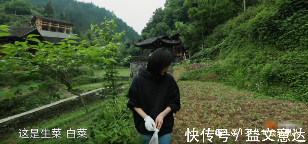 《向往》造假嚴(yán)重蘿卜現(xiàn)種的,魚塘現(xiàn)挖的,全靠工作人員搞衛(wèi)生