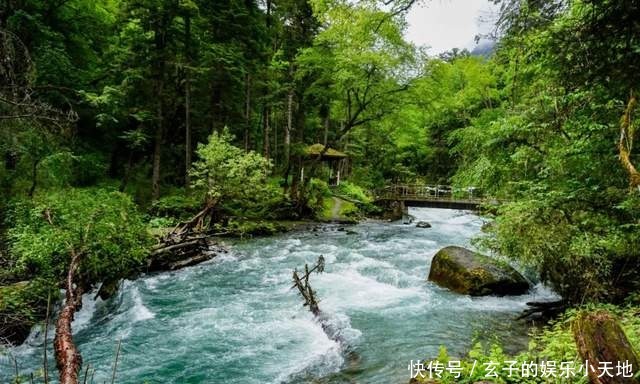 原始森林|「邓生沟」原始森林奇遇记