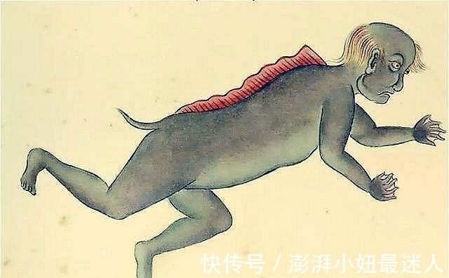 海洋生物!乾隆的“枕边书”,绘画了300种“异界生物”,自然界中从未见过