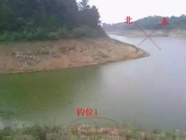 野钓找钓位就用这8招,用熟练了,不打窝子都能钓鱼