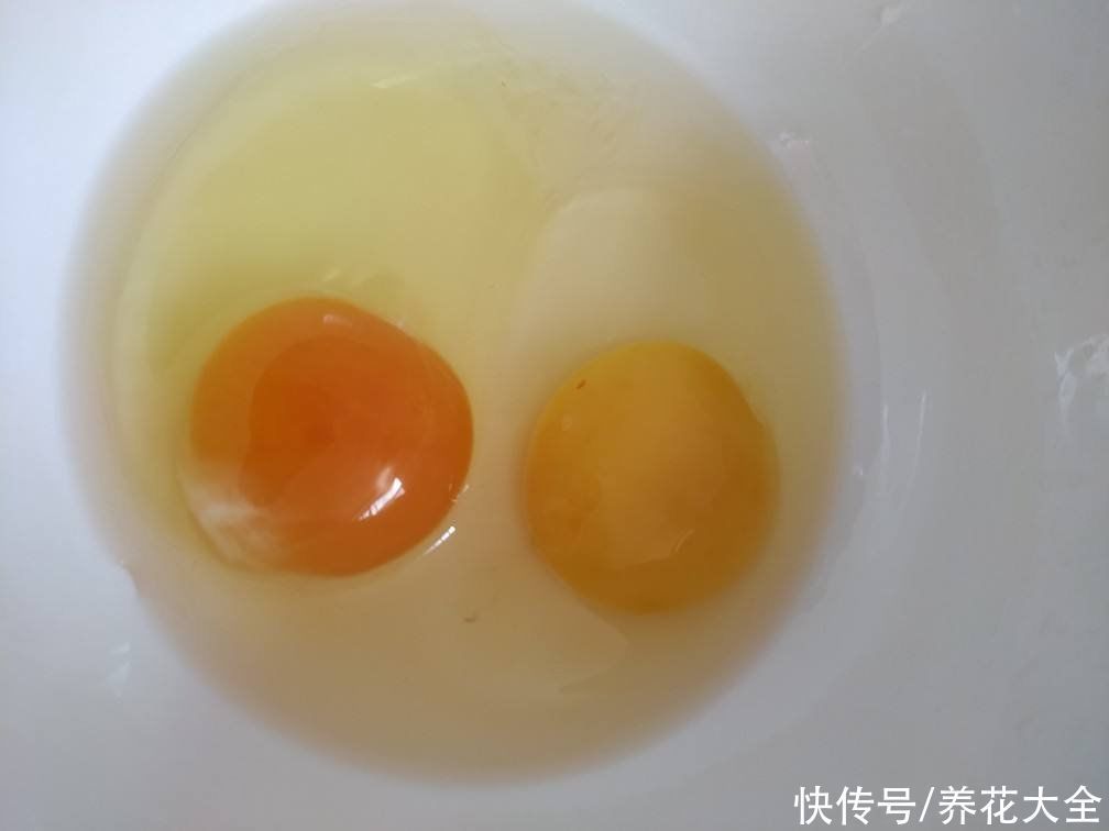 年底家家大扫除,记住13个小妙招,家里清洁更加干净