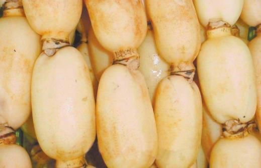 妇女|子宫肌瘤的“最怕”的5个“小精灵”,坚持吃点,子宫也被你感动