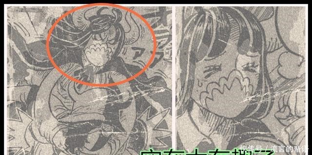 海贼王|海贼王982话分析润媞会成为路飞后宫,黑色玛利亚对凯多很欣赏