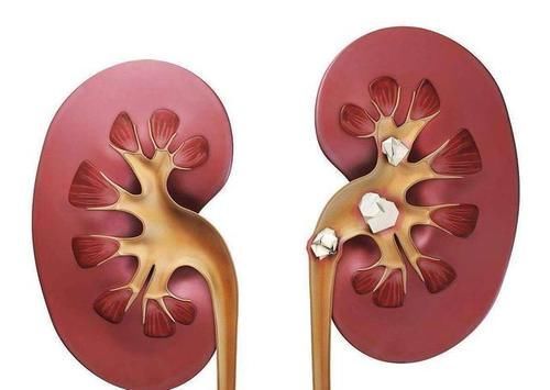 魏大叔|年龄越大，越要多吃肉？医生：50岁之后，建议多吃这2种肉