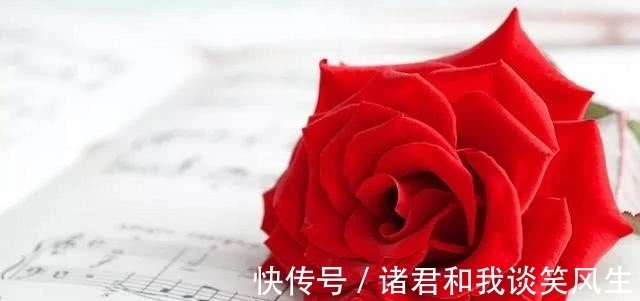 塔罗|塔罗占卜：4朵玫瑰，你觉得哪朵最先枯萎？测你在多少岁会显老！
