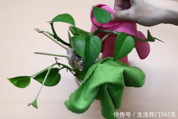 塑料瓶上插几根筷子，放在家里好看又实用，赶快动手做一个吧！