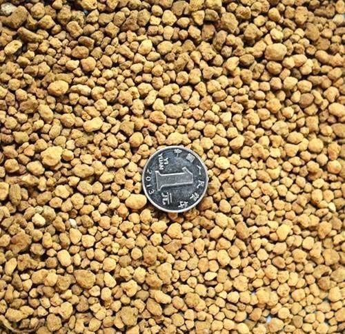 养花易烂根，4种东西随便一种撒一把，10盆9盆不烂根！