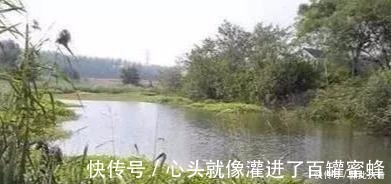 水草处|秋钓草边“三钓”、“三不钓”，用好了总有一次要爆护！