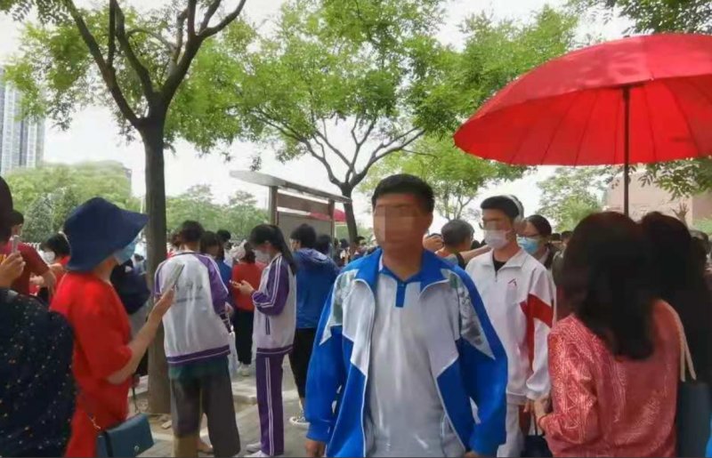 学校|Qing调查丨高考志愿咨询生意火爆 为你服务的“规划师”可能三天速成