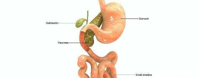 大便|肝比较好的人，上厕所一般没四种“症状”，若你也是，真替你高兴