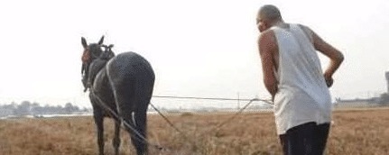 腰肌劳损|花椒+红糖太厉害了,腰腿不痛不麻了,坐骨痛也拜拜了!