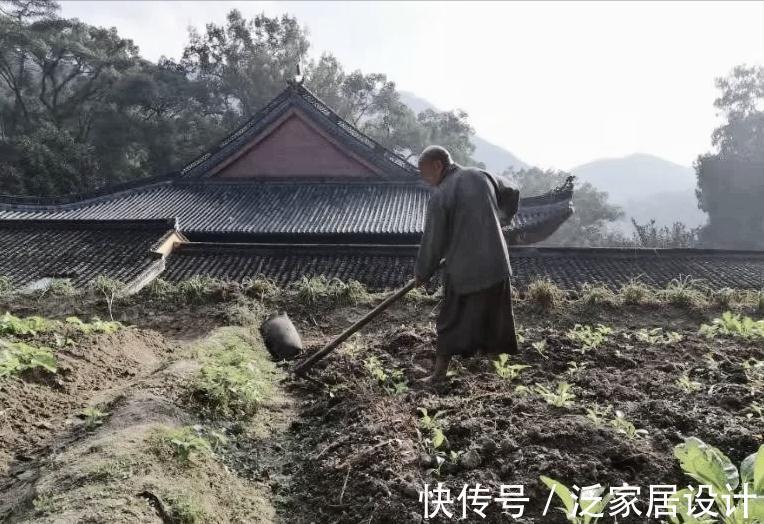 李氏！清代奇案：丈夫捉弄妻子，惹得和尚丧命，书生强占妇人，知州擒凶