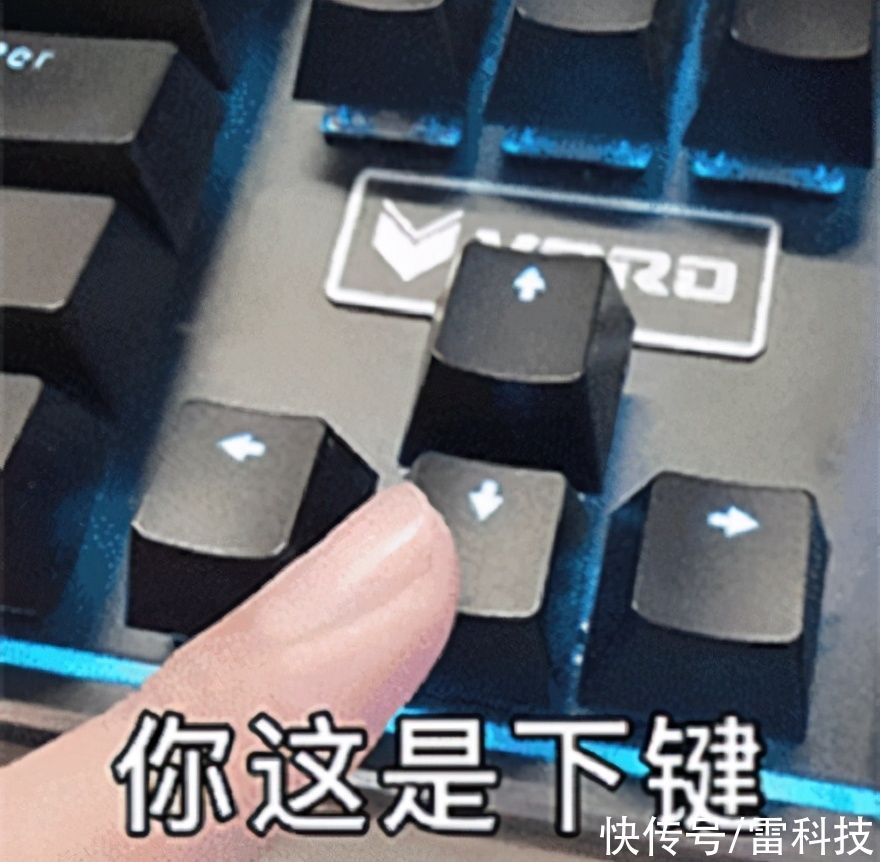 图片|全球最大的云盘翻车！四万亿张高清图被毁，用户苦不堪言