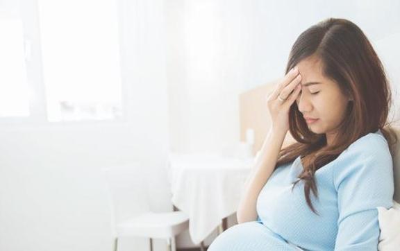 头围|宝宝头围越大越聪明?不是谣言,哈佛大学验证了