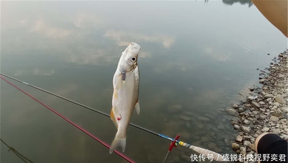 晚春钓鱼经常空军？你需要换个思路，做几个调整，渔获才有保证！