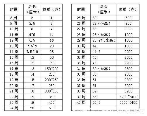 虾皮|孕晚期长胎冲刺进行时，孕妇常吃3类食物，有助于胎儿长高