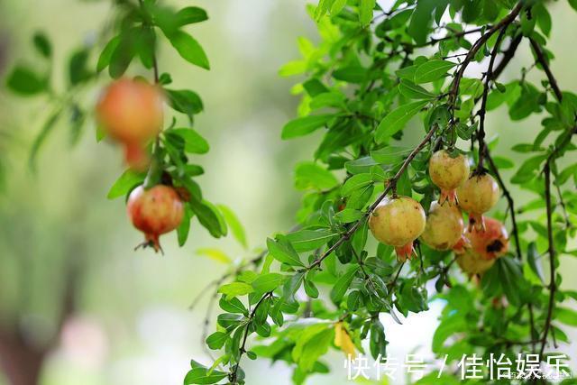 膻中穴|出现3个表现，说明你的身体气血不通，最好的疏通方法都在这里！