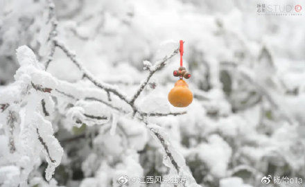 仙山|江西三清山游记：这座仙山，产在人间